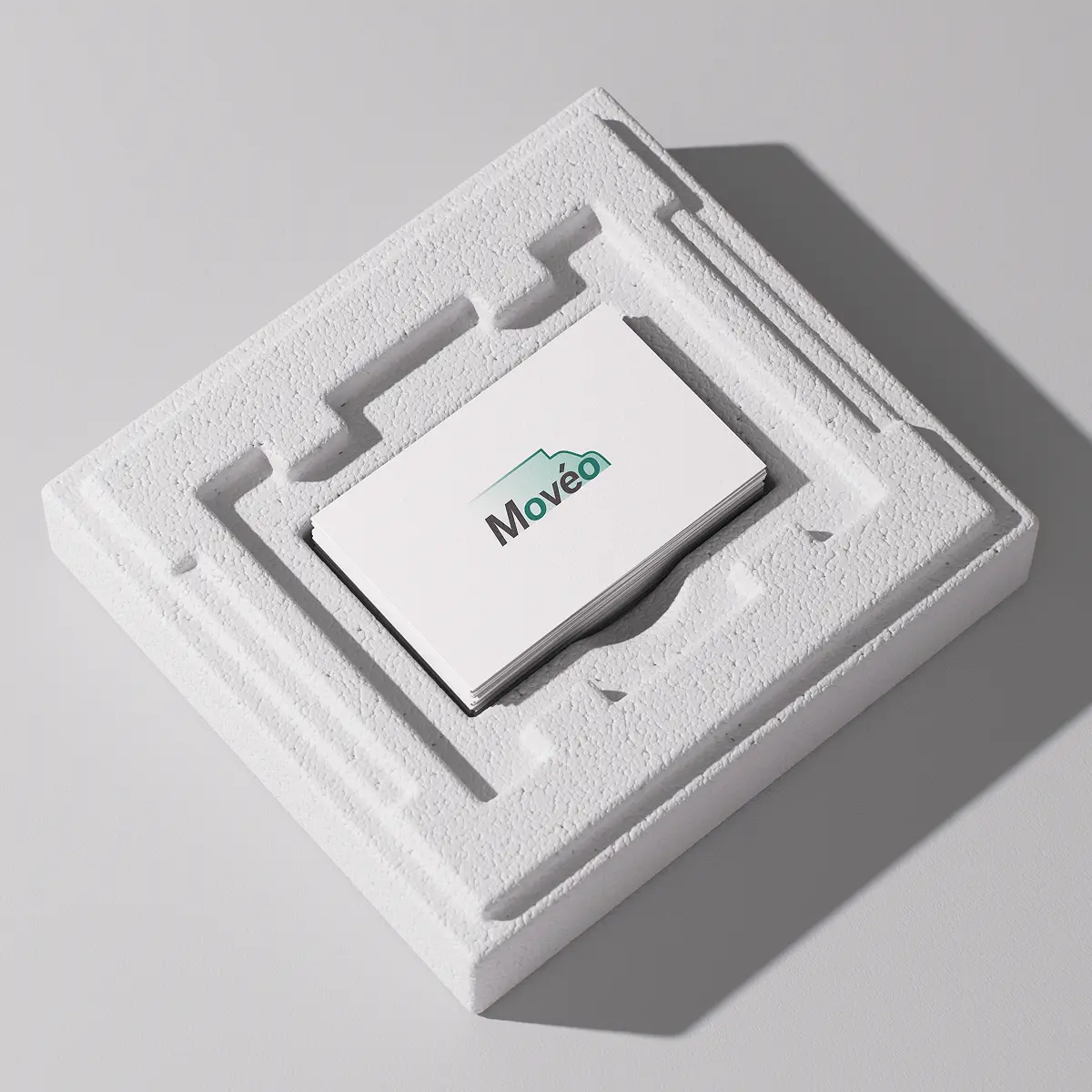 Voxhoo Studio Image Example