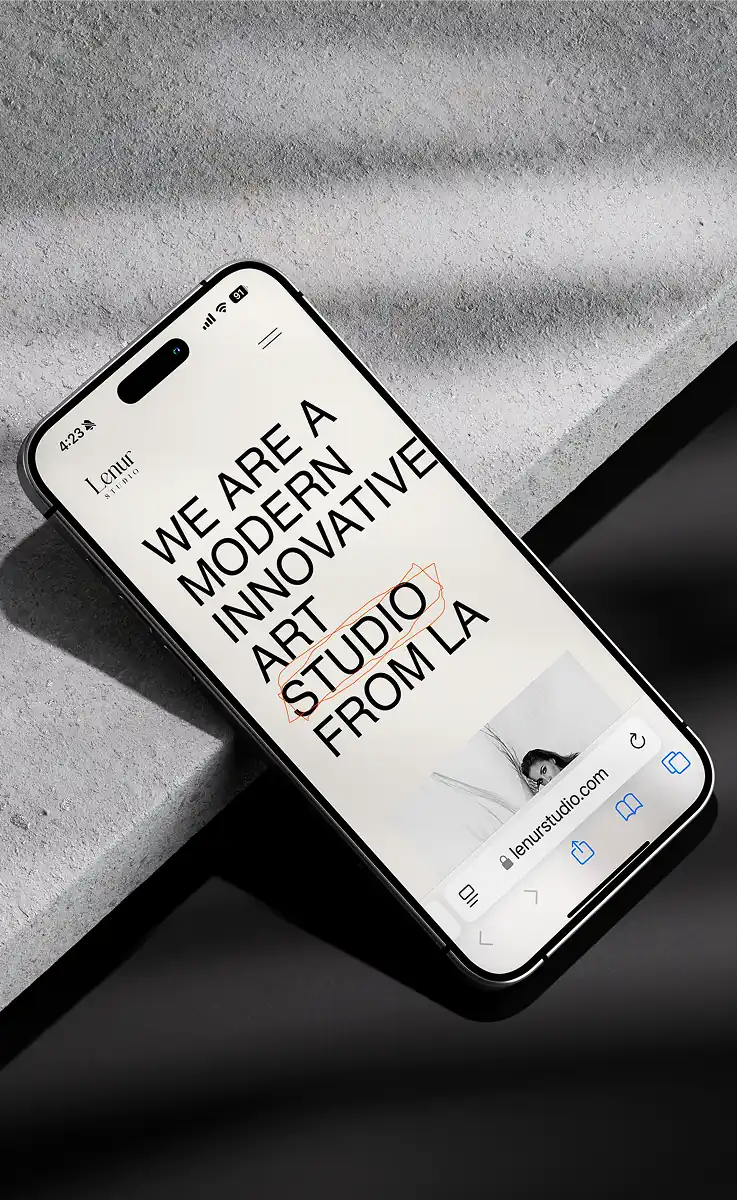 Voxhoo Studio Image Example