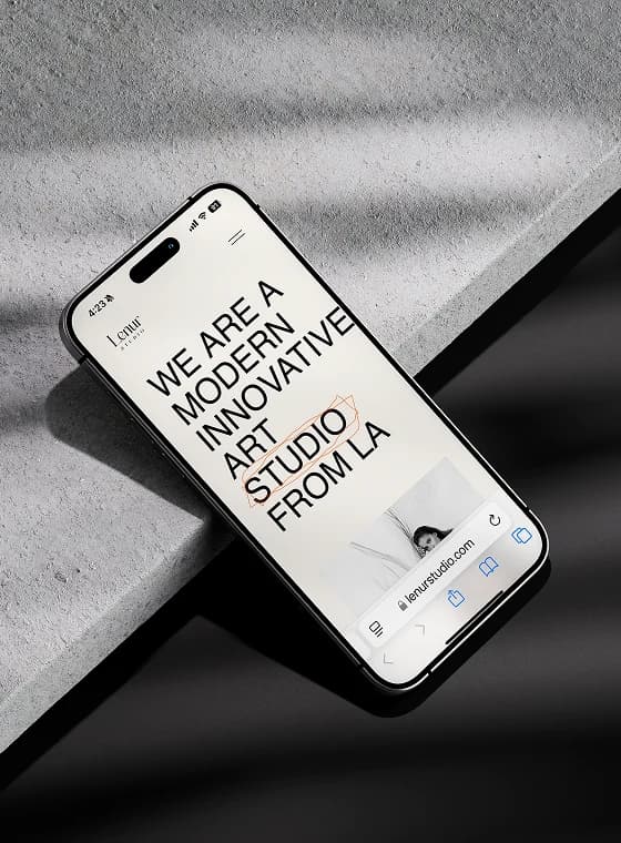 Voxhoo Studio Sample Image