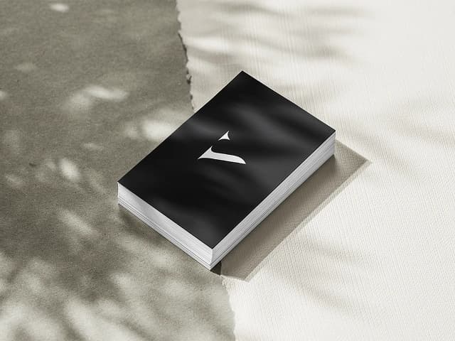 Voxhoo Studio Sample Image